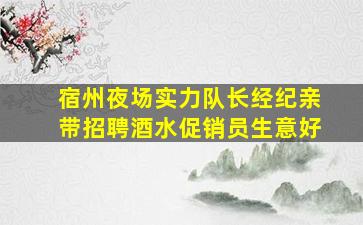 宿州夜场实力队长经纪亲带招聘酒水促销员生意好